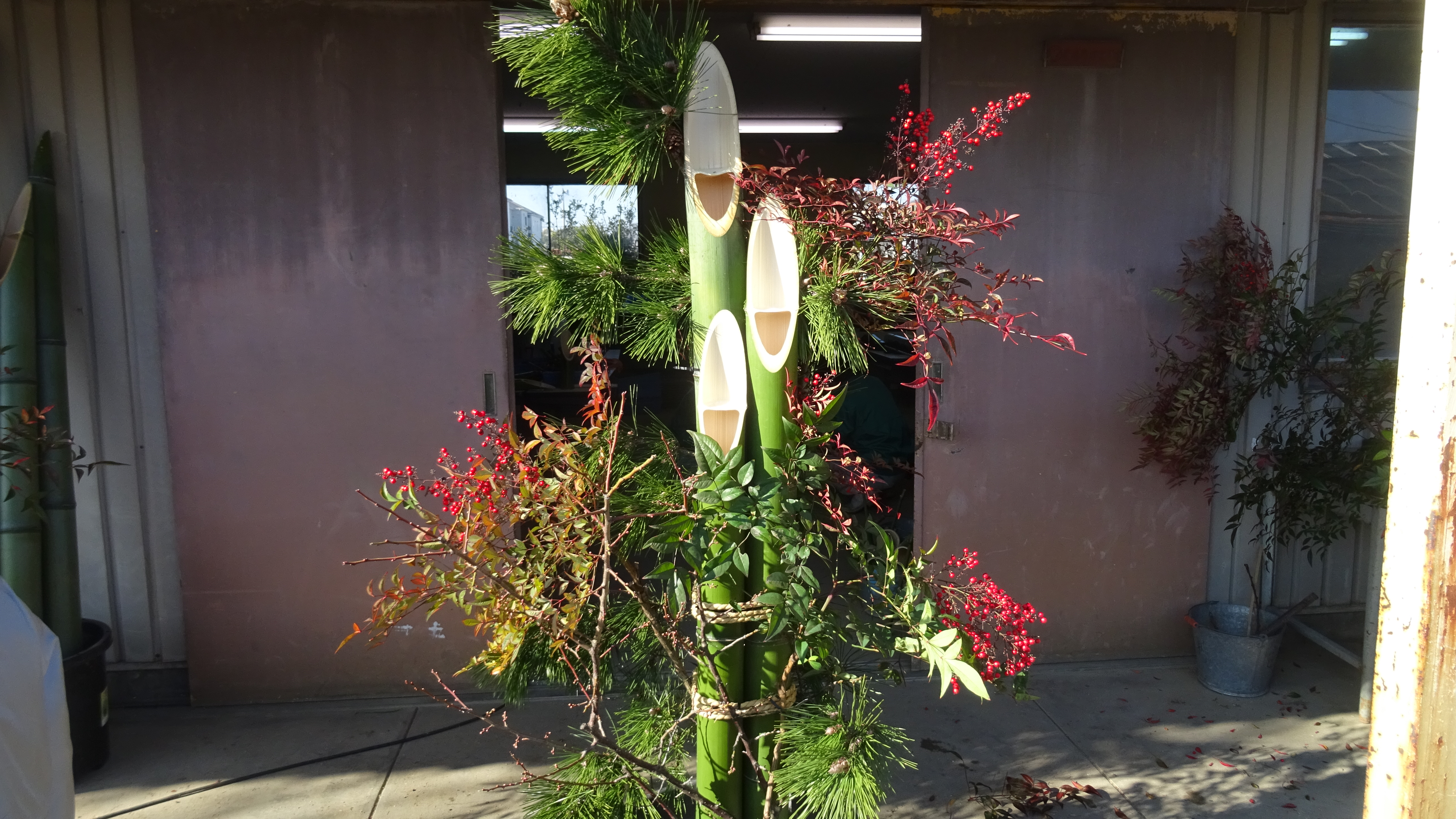 令和の門松づくりスタート！ | 大阪府立農芸高等学校