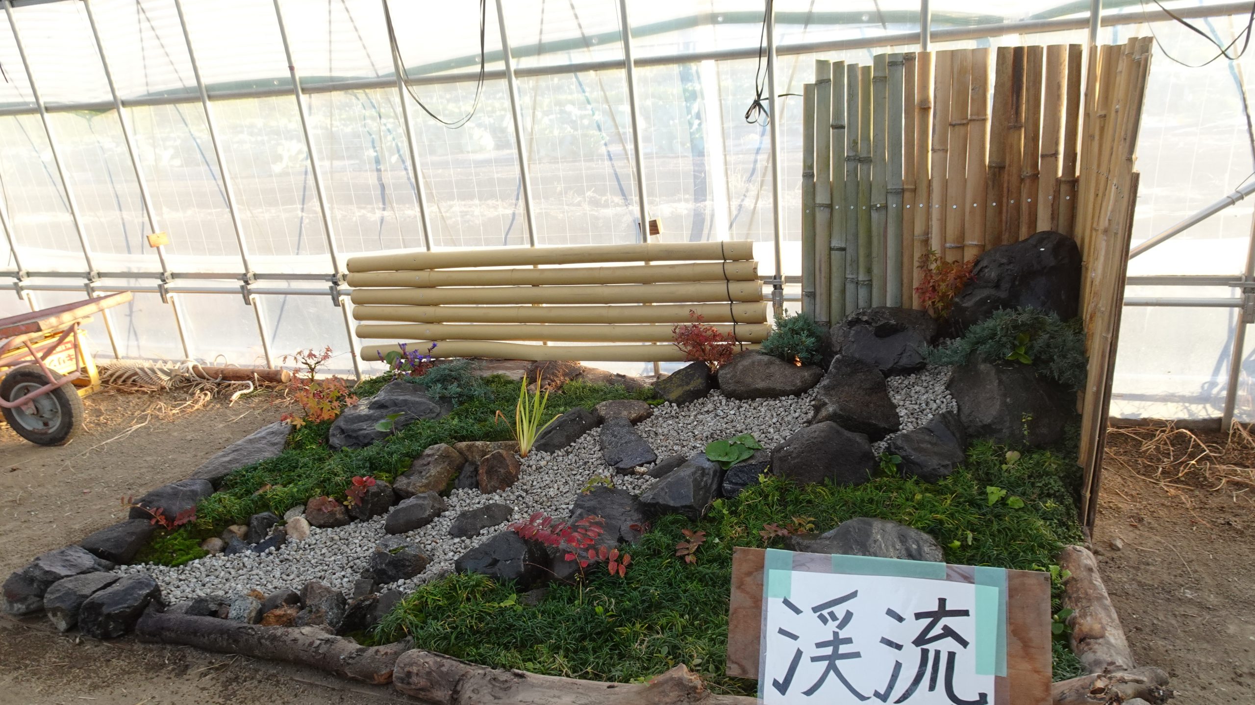 草花造園専攻 日本庭園完成！ | 大阪府立農芸高等学校