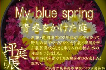 なにわの坪庭展活動報告記　My blue spring ～青春をかけた庭～