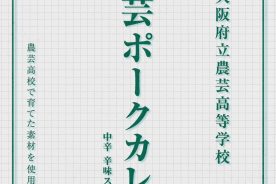 全国知財創造実践甲子園2024への参加