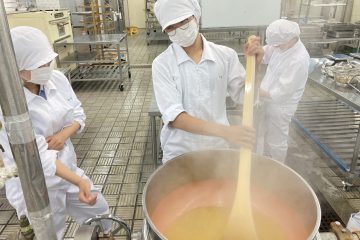 夏みかんのマーマレードを製造しました
