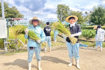 １年生：初めての手刈り収穫
