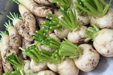 資源動物科は栽培も学習します！