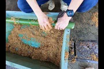 年末恒例門松づくり開始！