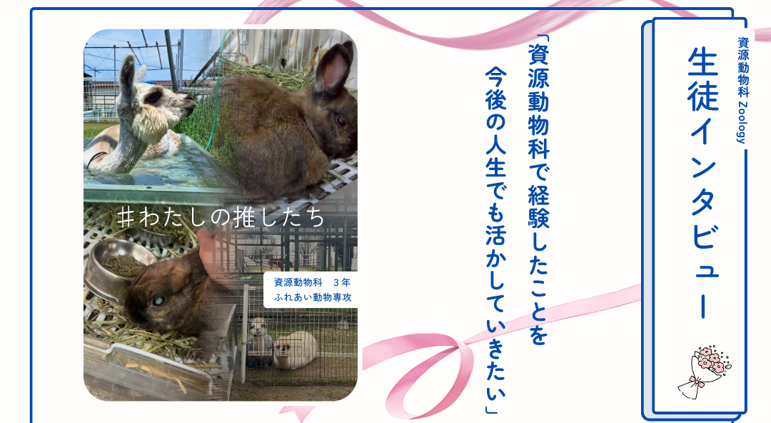 卒業前の Z科3年生にインタビュー | 大阪府立農芸高等学校